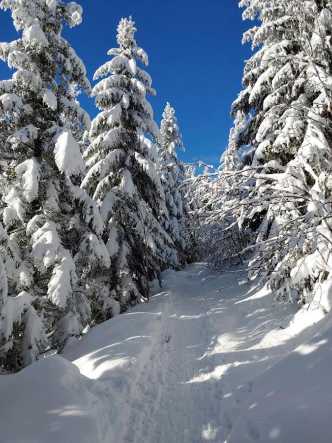 شقة Rehkitz بيرسبرون المظهر الخارجي الصورة